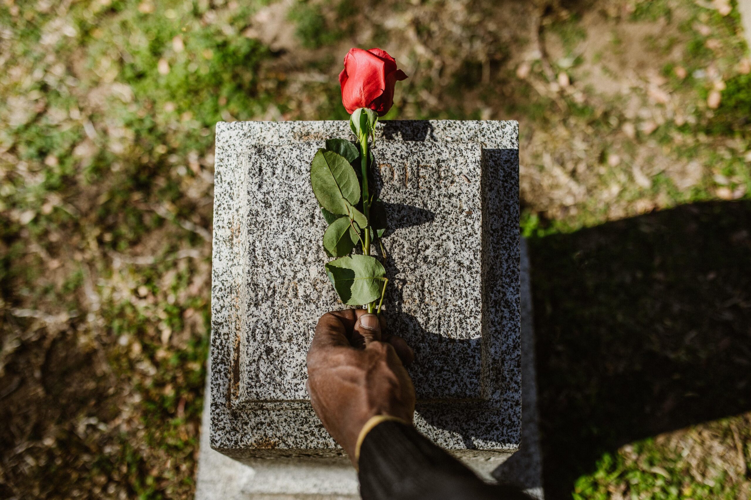 Image of someone placing a flower on a gravestone