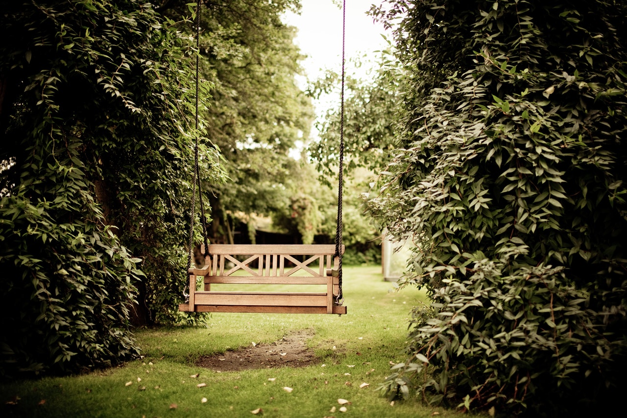 image of memorial bench