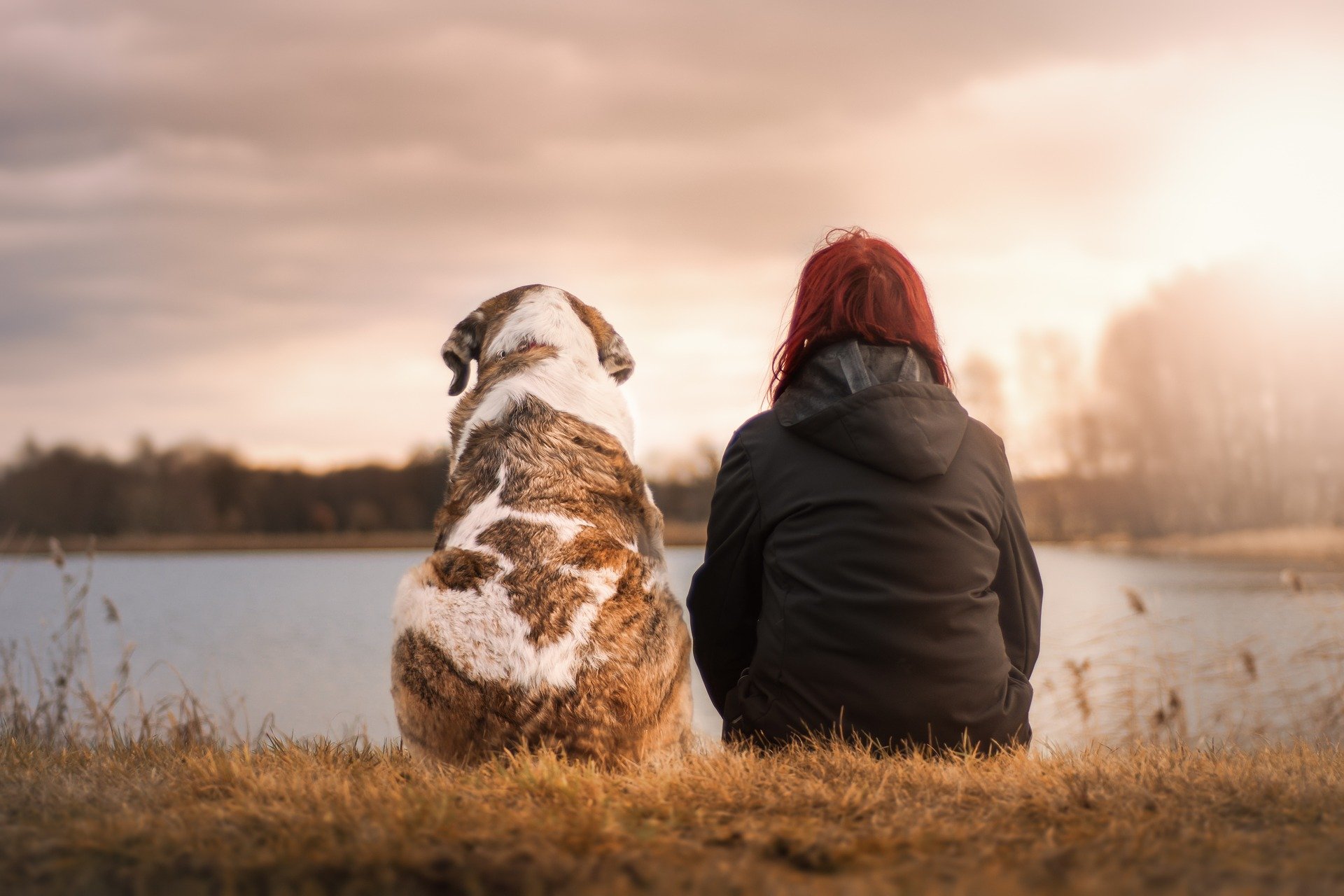 Image of a woman sat with a dog