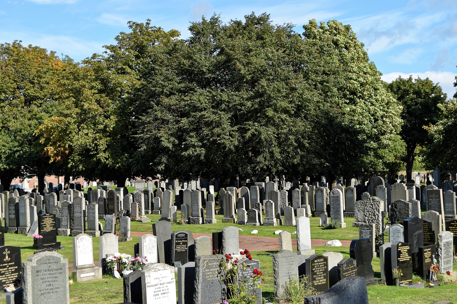 image of a cemetery