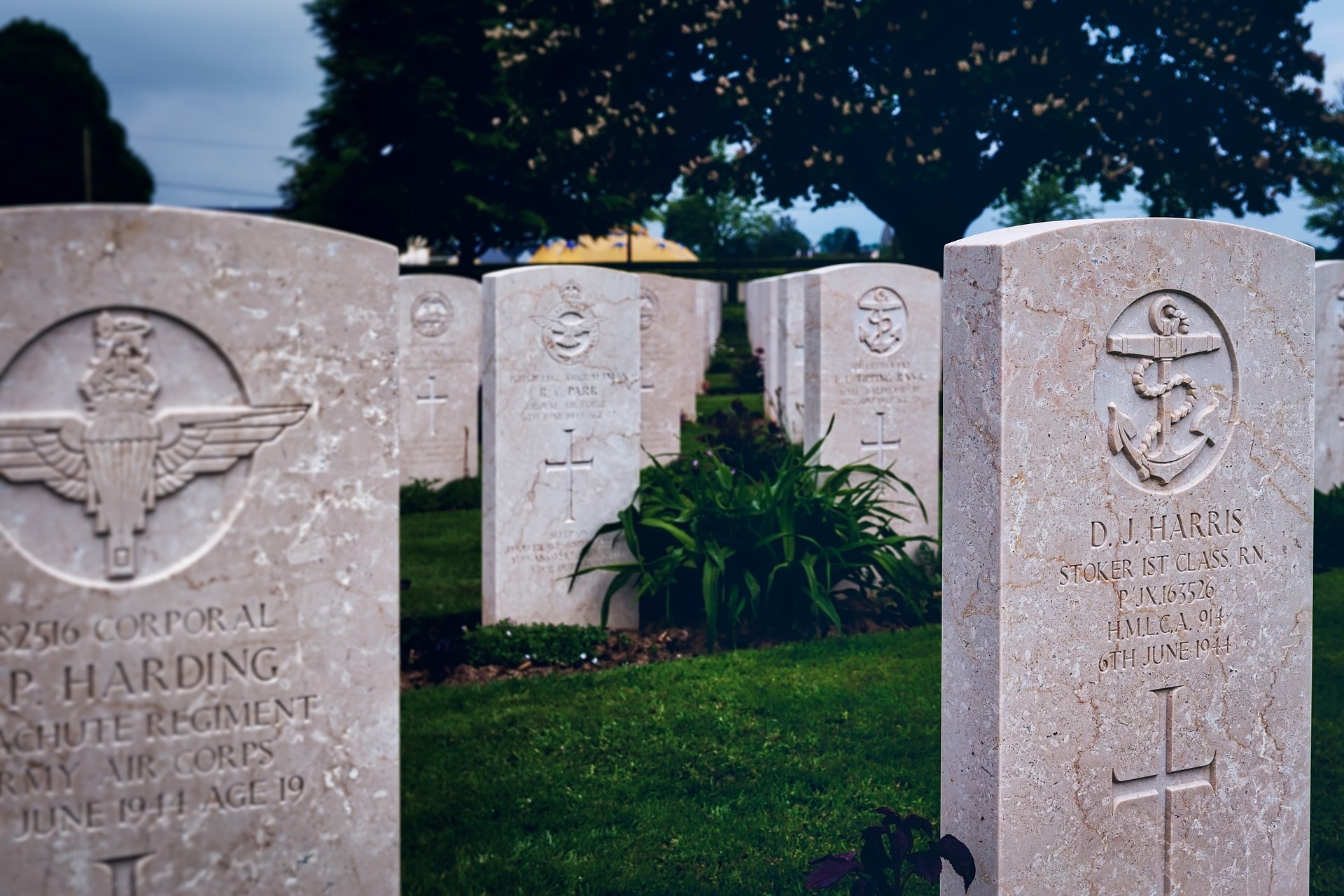 image of numerous headstones