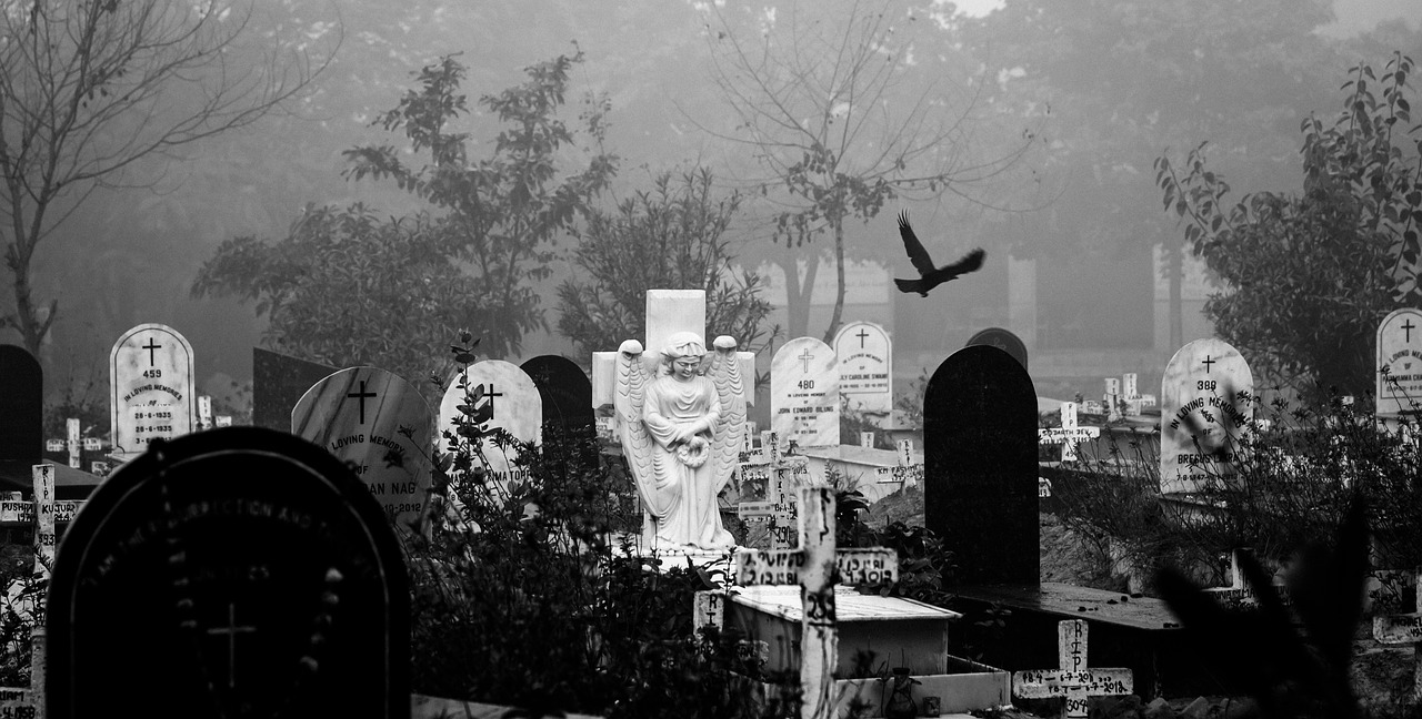 black and white image of headstones