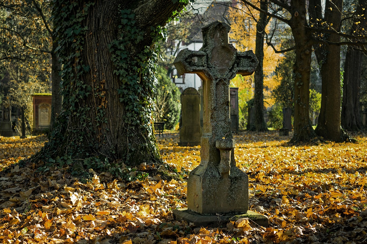 image of a cross headstone in a cemetery with autumn leaves on the floor