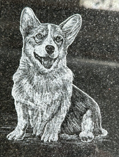 DG3 CORGI DOG