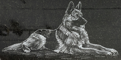 DG4 GERMAN SHEPHERD DOG