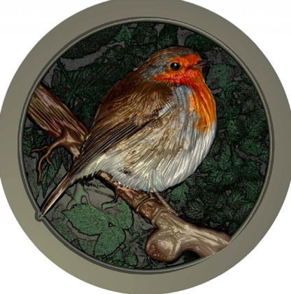 CNC 1 ROBIN