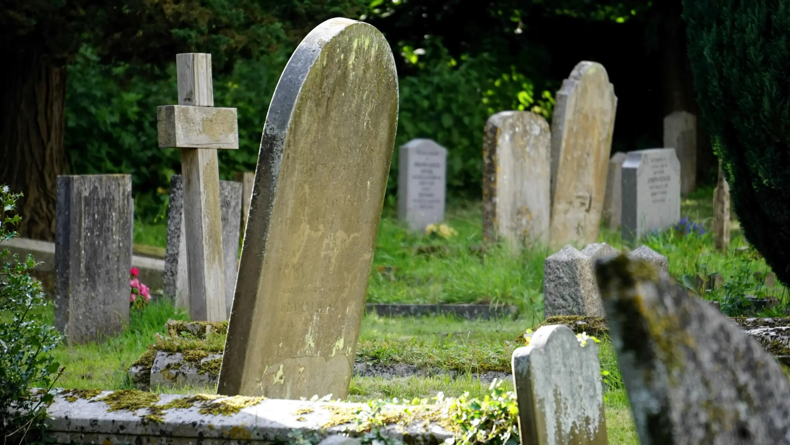 image of headstones in a graveyard