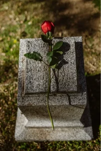 A single red rose lies on a gray granite cremation headstone in a sunlit cemetery. The scene conveys solemnity and remembrance amidst a grassy, shadow-dappled background.